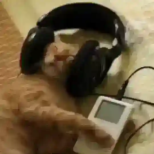 🎧 плейлист | тейки