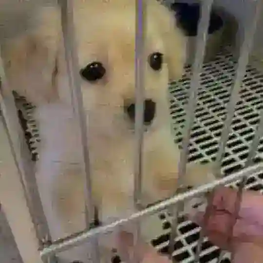 предложка бомбическая