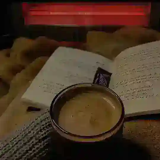 بوت طلبات