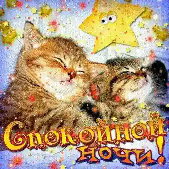 Тейки сны кф