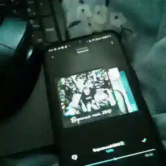 спкф бот