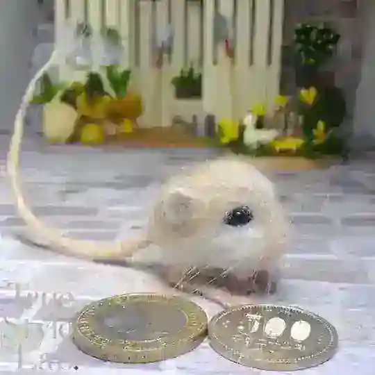 . ۫ 𝘣𝘰𝘵 ° 𓈒