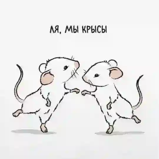 Послание сплетницам Октавии