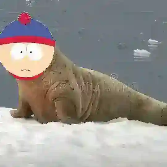 хех тейки лоллолл
