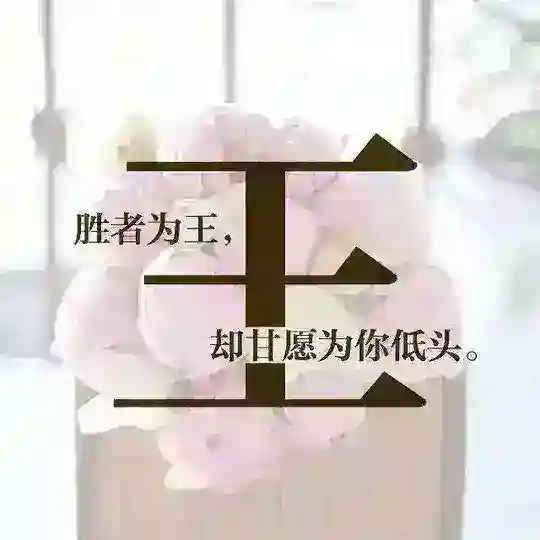 王天佑_飞机号专卖店