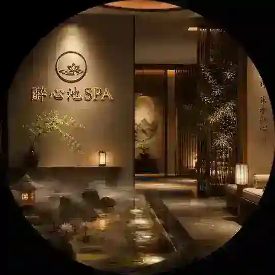 酔心池双向机器人😊