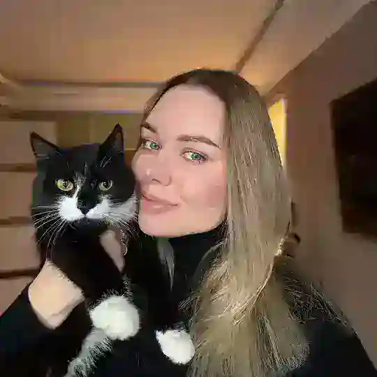 3-дневный кошачий марафон