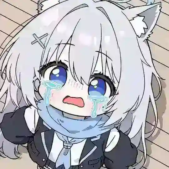 十一与呆呆