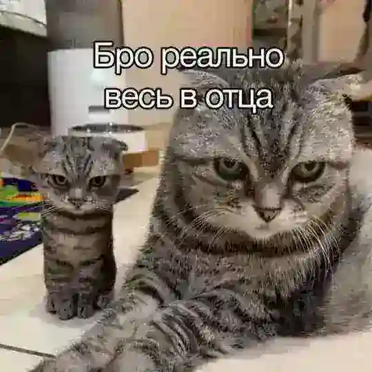 Тейки SHOP гачеров/художников Telegram Bot Avatar