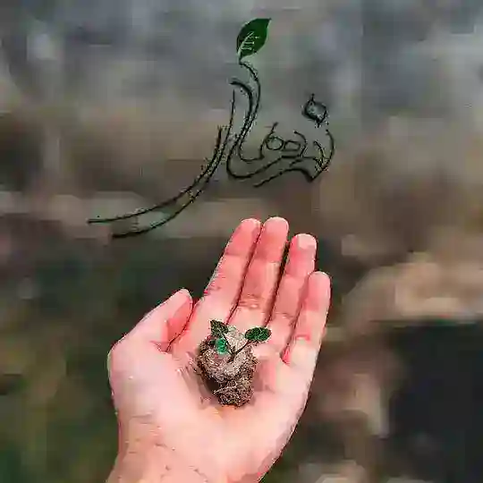 ضد ریزش نهال♥️