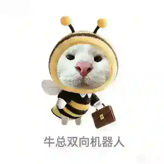 牛总双向机器人🤖