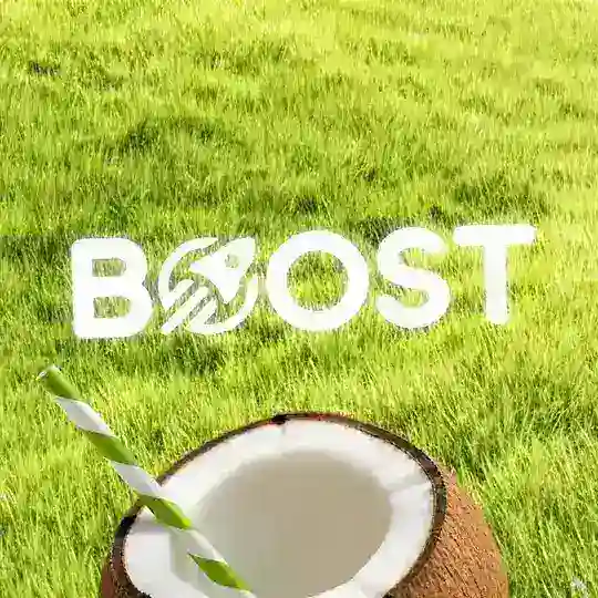 🏖 Летняя Школа | BOOST