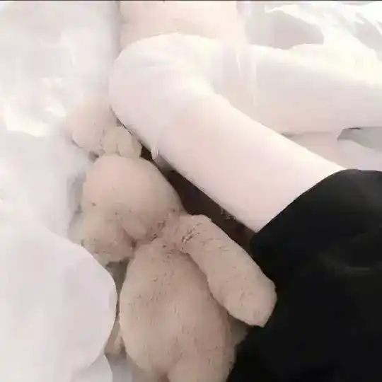 熙熙的小助理
