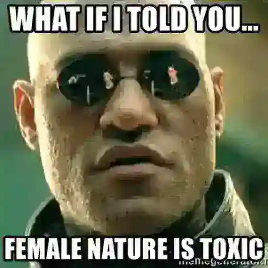 Red Pill Mentalität Telegram Channel Avatar