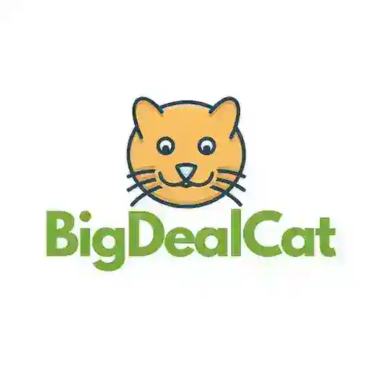 BigDealCat Telegram Channel Avatar