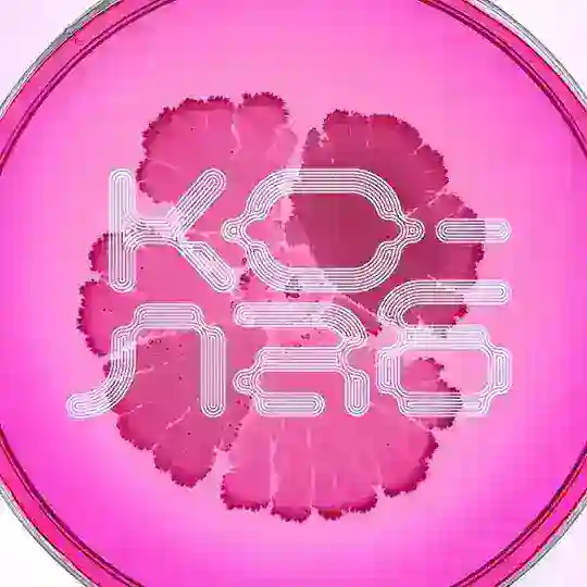 Ко-Лаб Telegram Channel Avatar