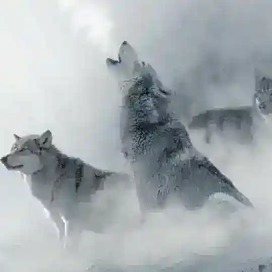 Ruf des Weißen Wolfes Telegram channel