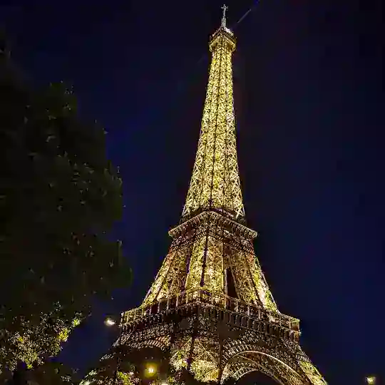 Learning French (apprendre le français) Telegram Channel Avatar