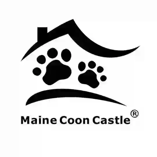Maine Coon Castle Telegram Channel Avatar