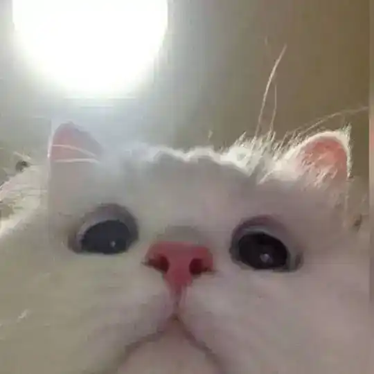 Long Text Telegram Channel Avatar