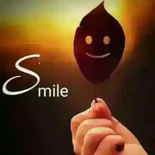 🌺🌺 whatsapp status 💕💓superb song🎼 Telegram Channel Avatar