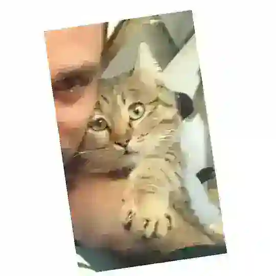 Bohorz Telegram Channel Avatar
