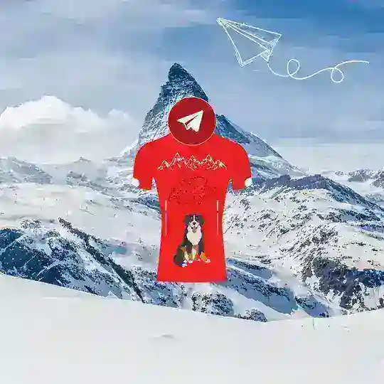 Bonsoir, wir kommen aus der Svizzera! Switzerland Telegram Channel by RTP [Schweiz - Swiss - Suisse - Svizra - Svizzra - Suiza] Telegram Channel Avatar