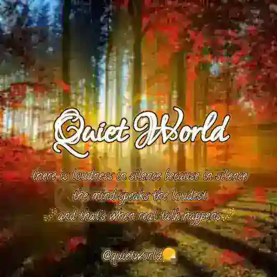 Quiet World 🍁 Telegram Channel Avatar