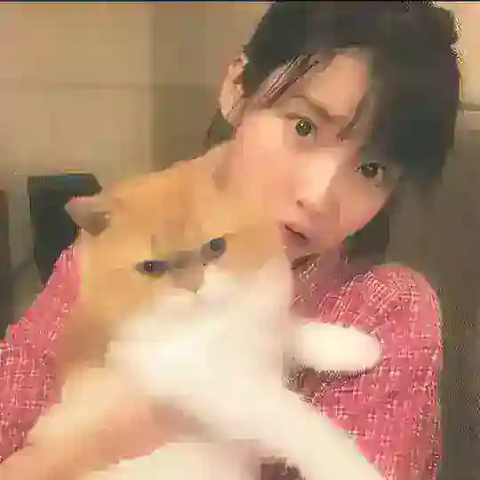 K Drama Hertz Telegram Channel Avatar