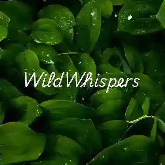 WildWhispers🌱 Telegram Channel Avatar