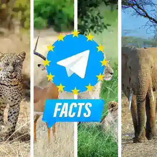 Facts about animals on Telegram - Fatti sugli animali - Faits sur les animaux - Hechos sobre animales - Fakten über Tiere Telegram channel