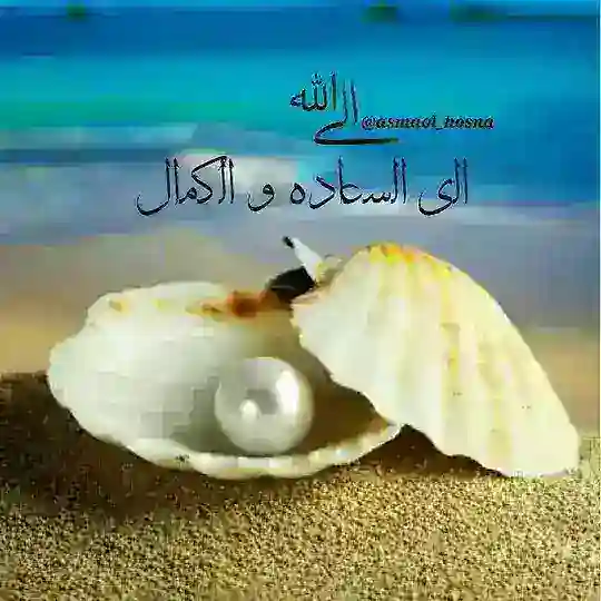 .• ڪانال اِلـــღــے اللّٰـہ •. Telegram Channel Avatar