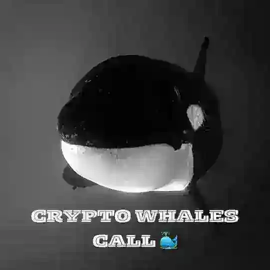 🐳CRYPTO WHALES CALL 中国🐳 Telegram Channel Avatar