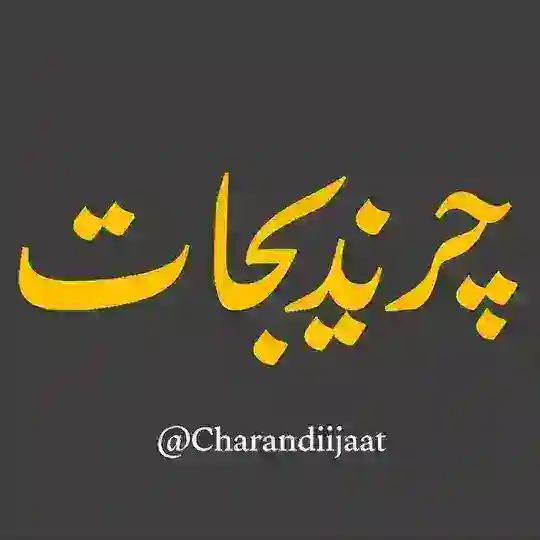 چرندیجات Telegram Channel Avatar