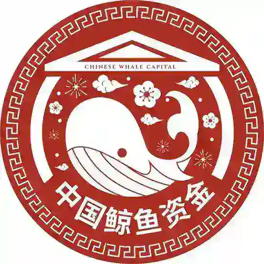 Chinese Pump Capital | 中国鲸鱼资金🇨🇳🐳🚀🌖 Telegram Channel Avatar