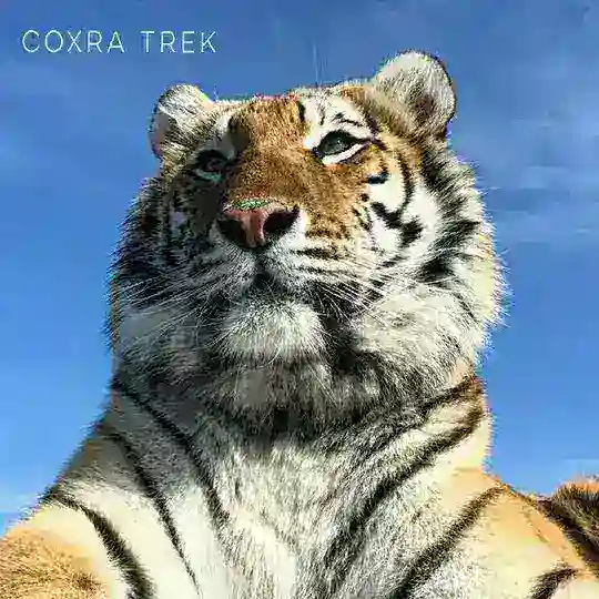 COXRA TREK 🇺🇸 (сохры музыка) Telegram Channel Avatar