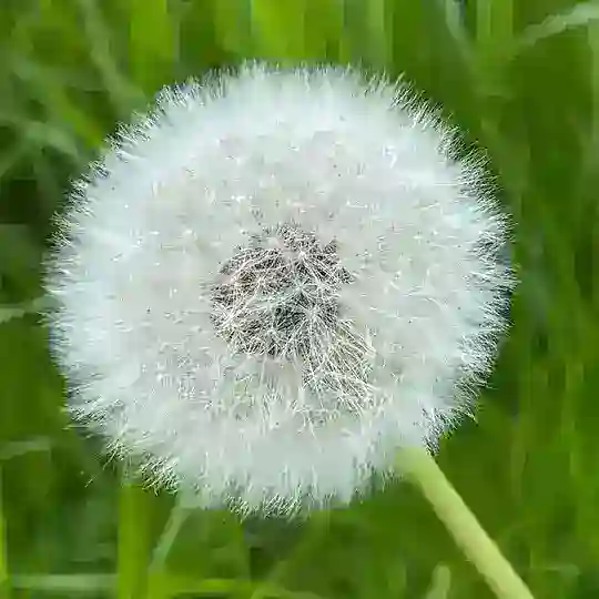 Freude an der Natur Telegram Channel Avatar