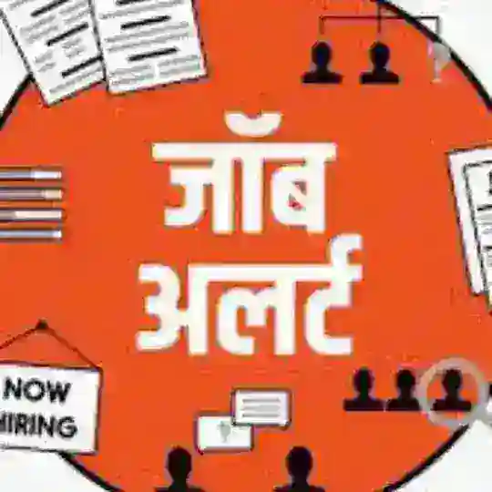 Job katta 🎯 Telegram Channel Avatar