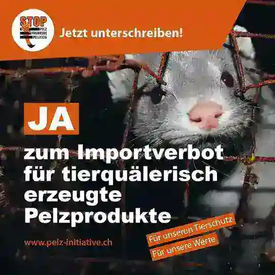 Ja zum Importverbot für tierquälerisch erzeugte Pelzprodukte / Stopfleber / eine Einschränkung von Feuerwerk Telegram Channel Avatar
