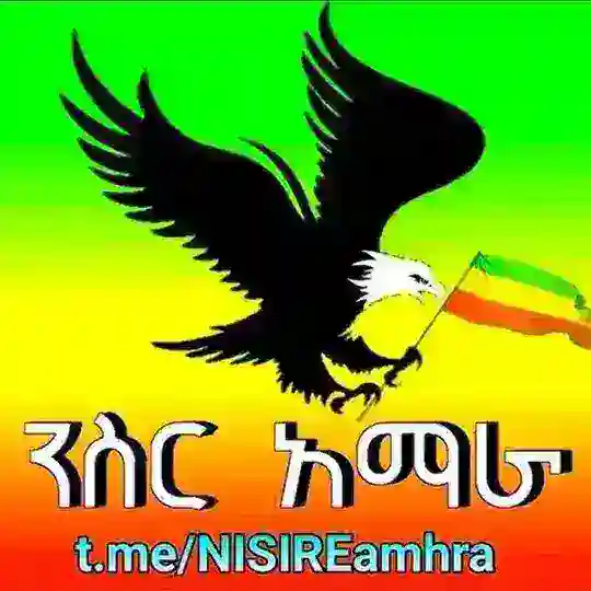 ️ ንስር አማራ🦅 Telegram Channel Avatar