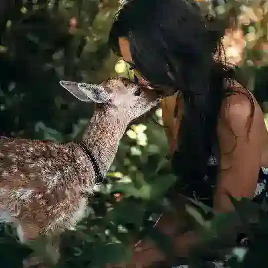 Spiritualität der Neuzeit Telegram Channel Avatar
