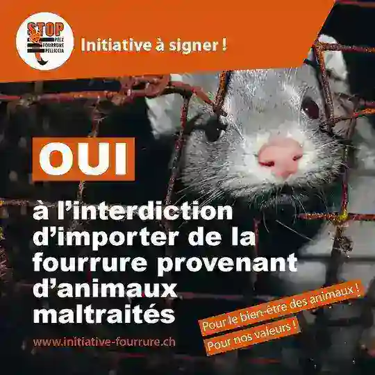 Oui à l’interdiction d’importer du foie gras / produits en fourrure provenant / une limitation des feux d’artifice Telegram Channel Avatar