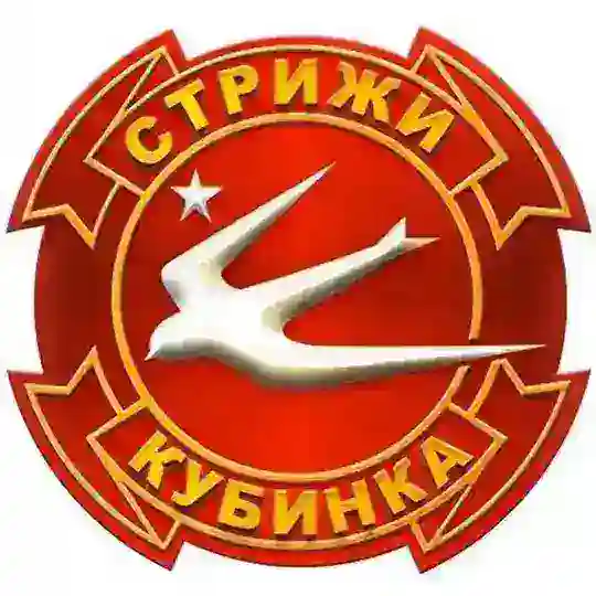 АГВП «СТРИЖИ» Telegram Channel Avatar