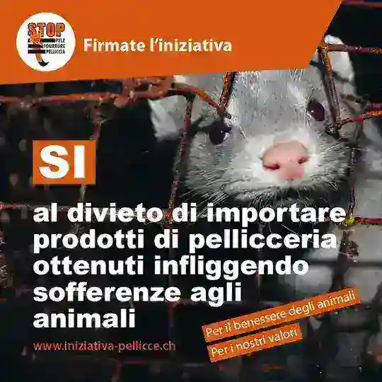 Sì al divieto di importare prodotti di pellicceria / di foie gras / una limitazione dei fuochi d’artificio Telegram Channel Avatar