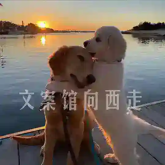 文案馆向西走/头像/素材 Telegram Channel Avatar