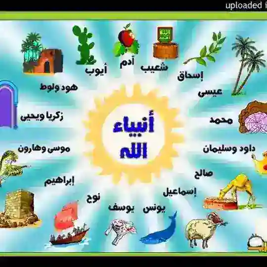 قصص 🌹الانبياء🌙 Telegram Channel Avatar