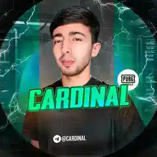 CARDINAL PUBG 🇺🇿 | Rasmiy Kanal Telegram channel