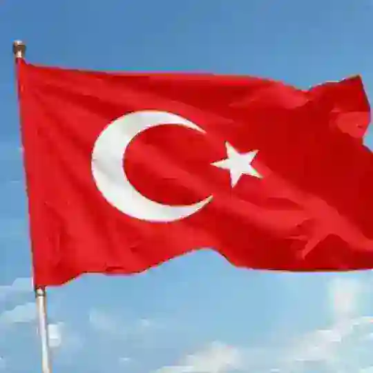 Çalışma Grubu🏆🏆🏆 Telegram Channel Avatar