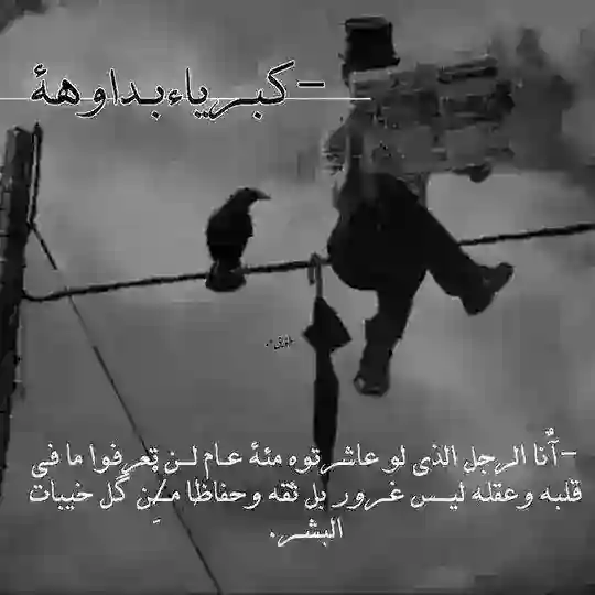 خواطر و عبارات كبرياء بداوة Telegram Channel Avatar