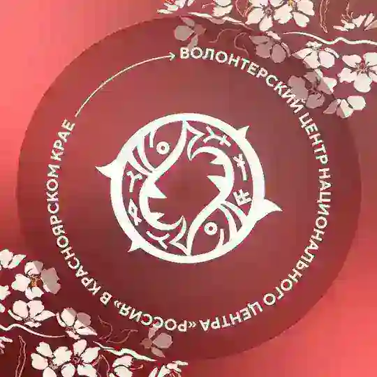 Волонтеры НЦ «Россия» | Красноярский край Telegram Channel Avatar